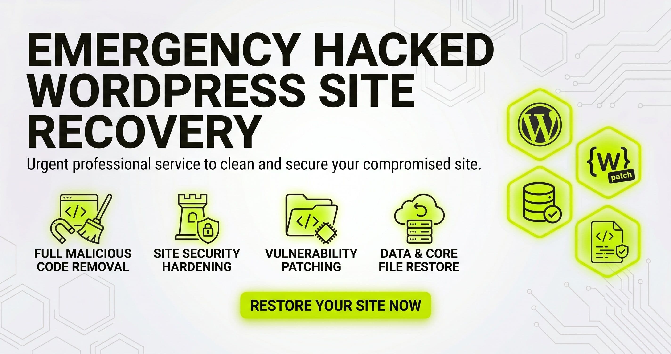 Emergency Hacked WordPress Site Recovery